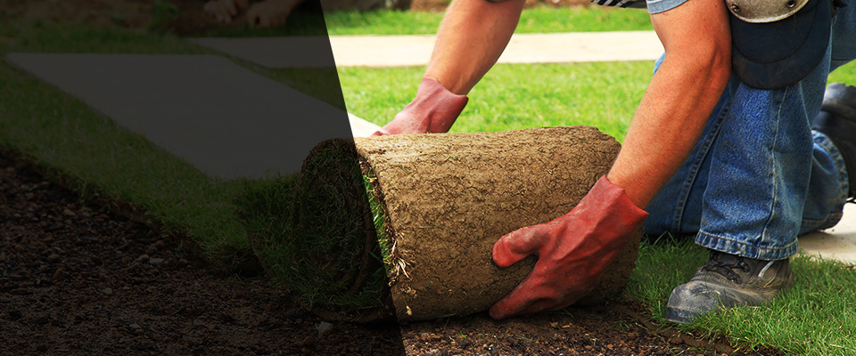 Dundee Landscapers